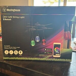 Westinghouse LED cafe string lights.